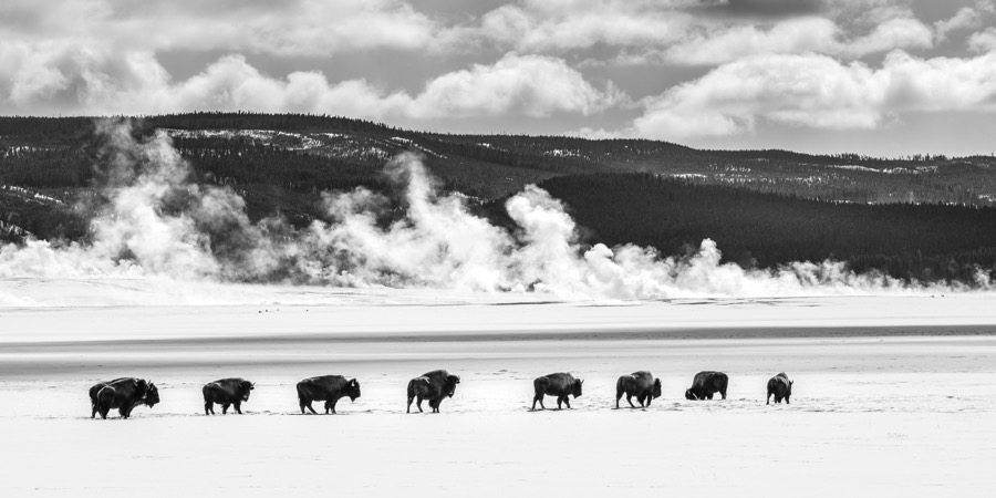 Midwinter at Fountain Flats - Fine Art Nature Photography by LoriBea Photography