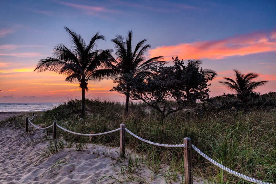 Pompano Park - Fine Art Landscape Photography by Tom Heywood