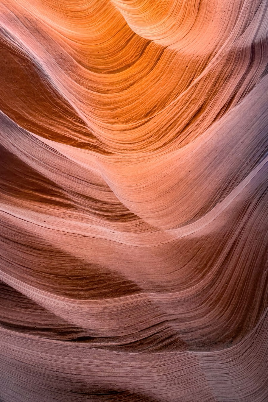 Navajo Sandstone Waves - Fine Art Landscape Photography by Tom Heywood