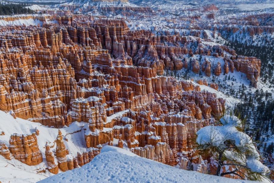 Bryce Canyon Winter - Fine Art Landscape Photography by Tom Heywood