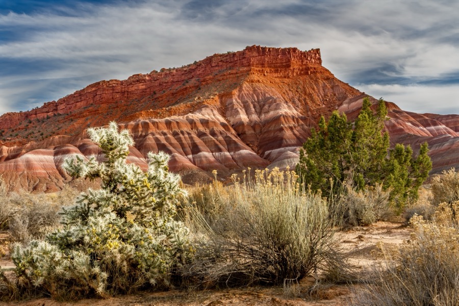 Cottonwood Canyon - Fine Art Landscape Photography by Tom Heywood
