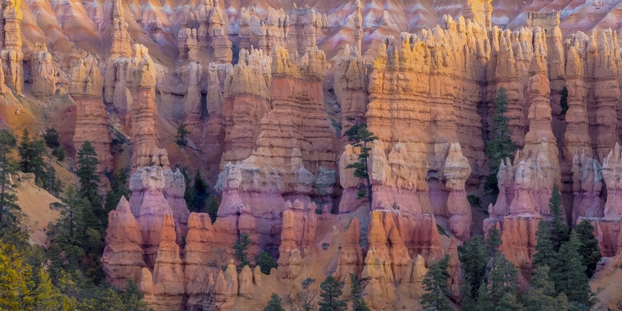 Bryce Canyon Hoodos 1 x 2 - Fine Art Landscape Photography by Tom Heywood