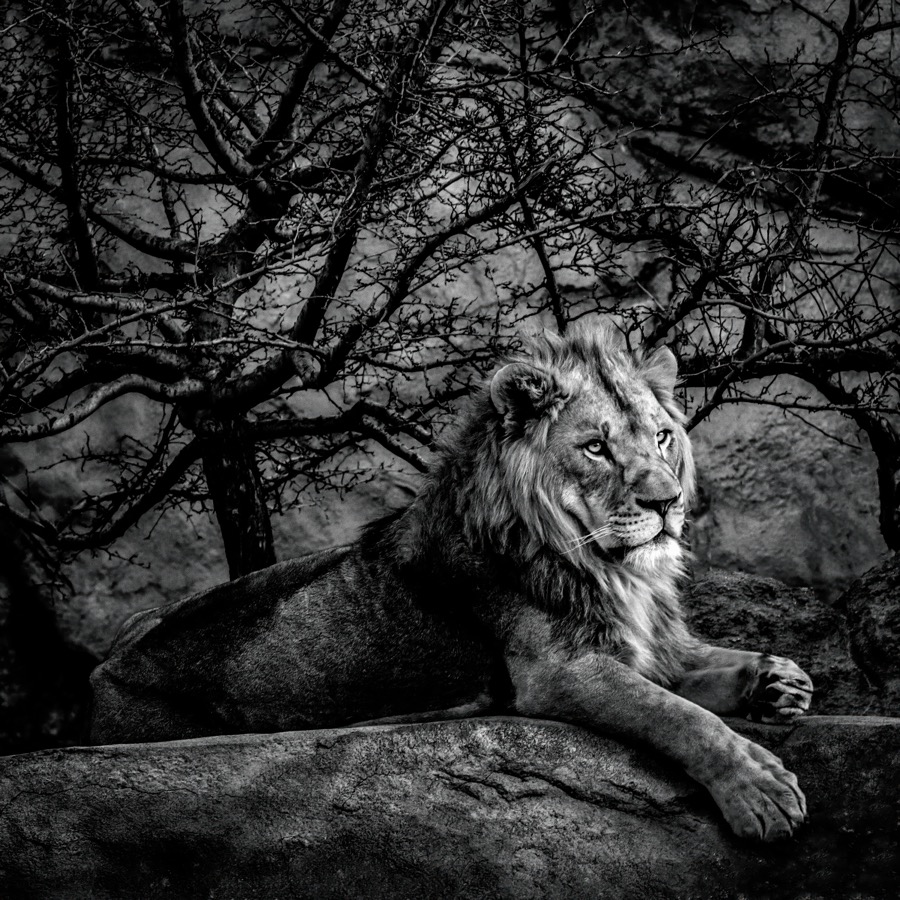 Proud - Fine Art Landscape Photography by Tom Heywood
