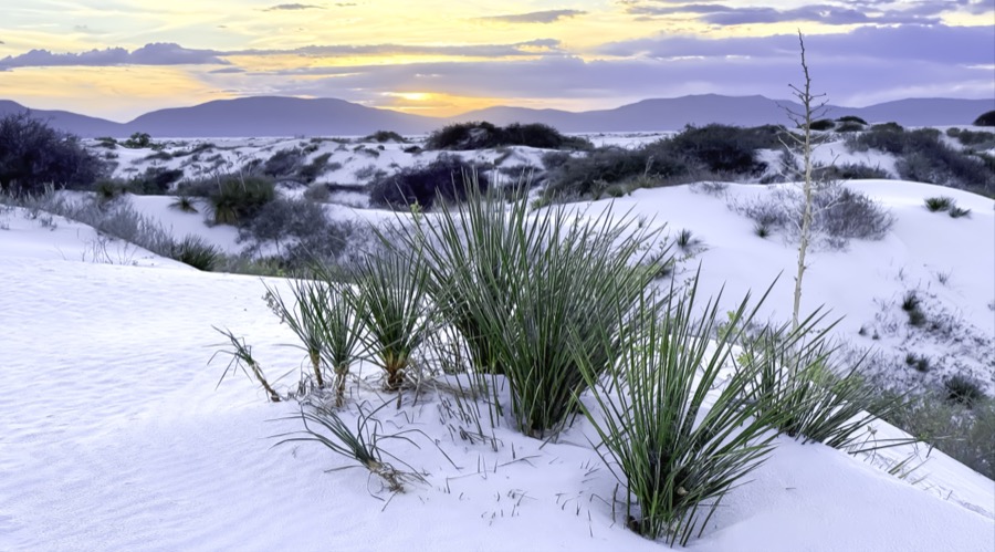 White Sands Sunset - Fine Art Landscape Photography by Tom Heywood