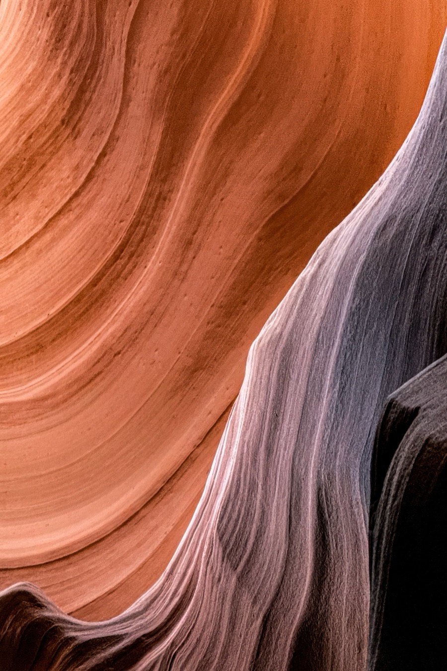 Navajo Sandstone in Contrast - Fine Art Landscape Photography by Tom Heywood
