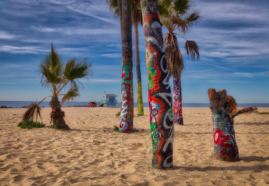 Venice Beach Painted Palms - Fine Art Landscape Photography by Tom Heywood