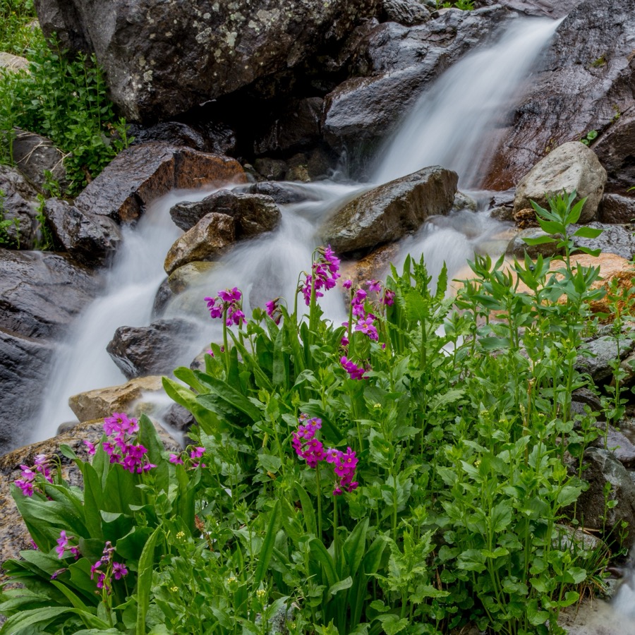 Perry's Primrose Water Left - Fine Art Landscape Photography by Tom Heywood
