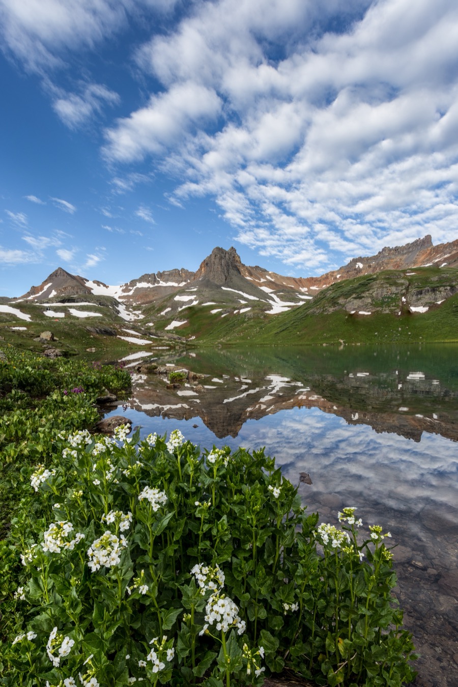 Ice Lake White Flowers - Fine Art Landscape Photography by Tom Heywood