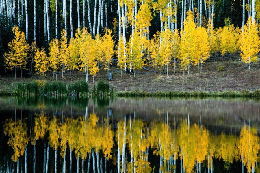 Rowdy Lake Aspen Reflection - Fine Art Landscape Photography by Tom Heywood