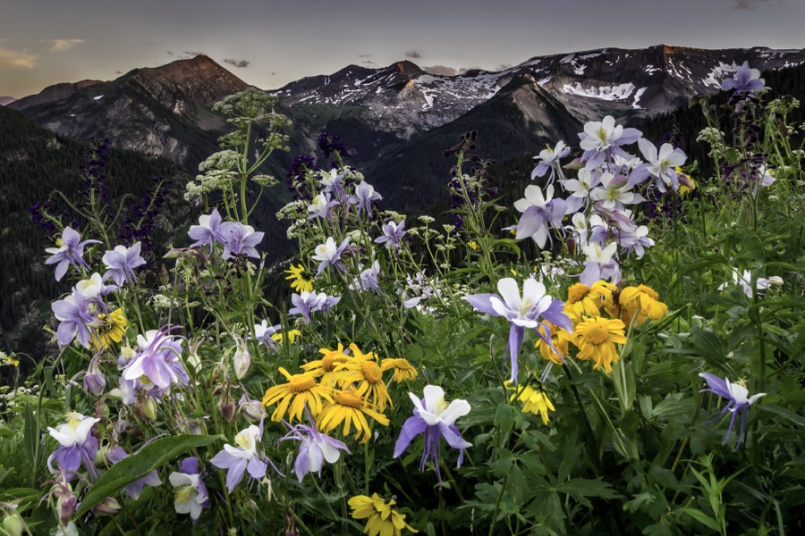 Lead King Basin Bouqet - Fine Art Landscape Photography by Tom Heywood