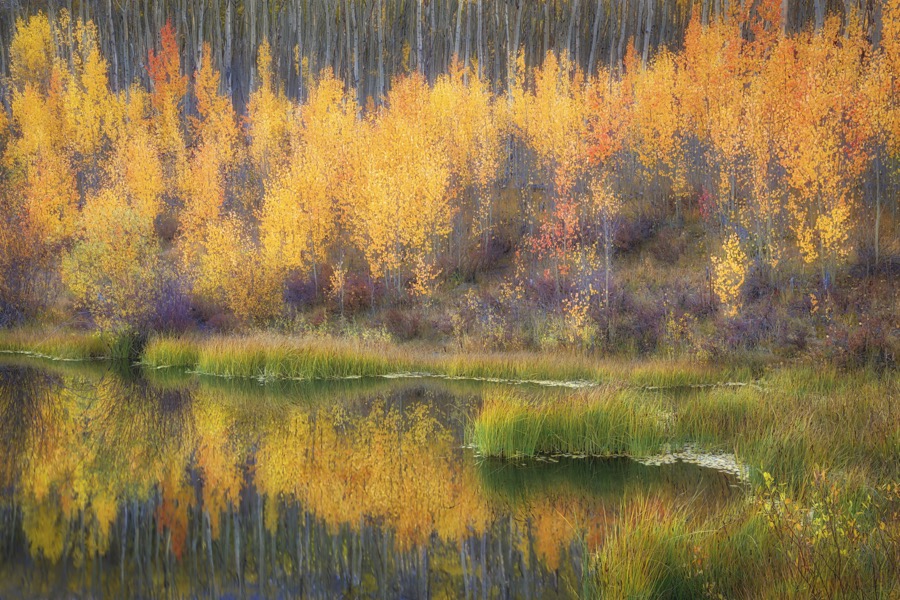 Twin Lakes Pond Reflection - Fine Art Landscape Photography by Tom Heywood