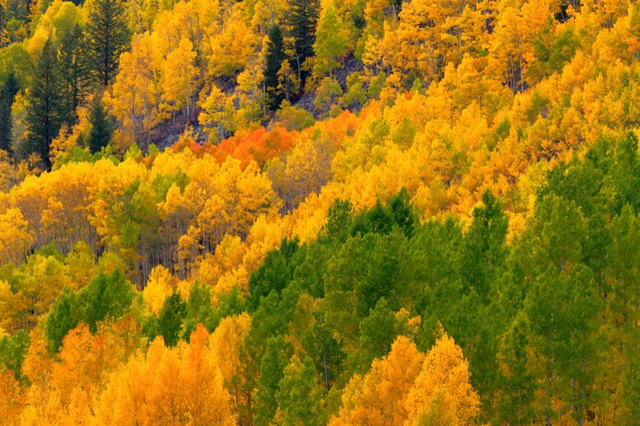 Slope of Color - Fine Art Landscape Photography by Tom Heywood