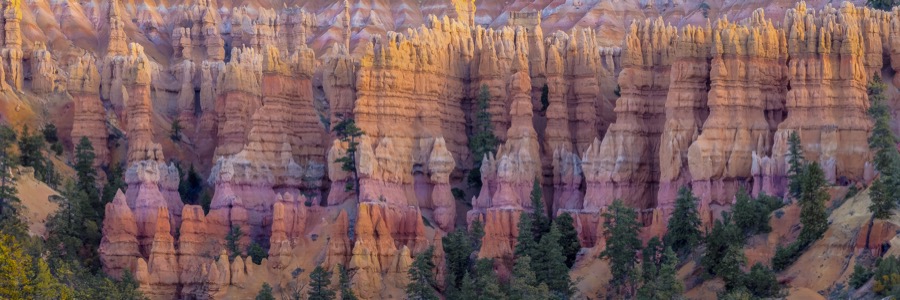 Bryce Canyon Hoodos Pano - Fine Art Landscape Photography by Tom Heywood