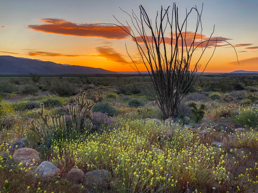Anza Borego Sunrise - Fine Art Landscape Photography by Tom Heywood
