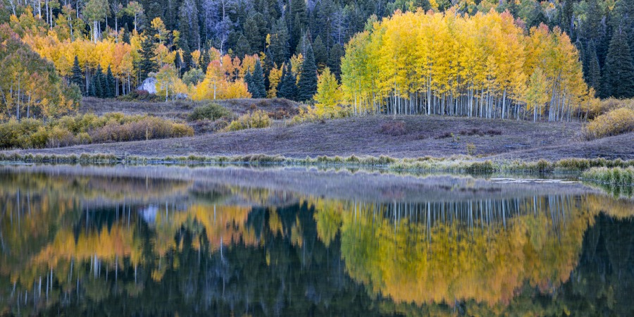Clear Lake Aspen Reflection - Fine Art Landscape Photography by Tom Heywood