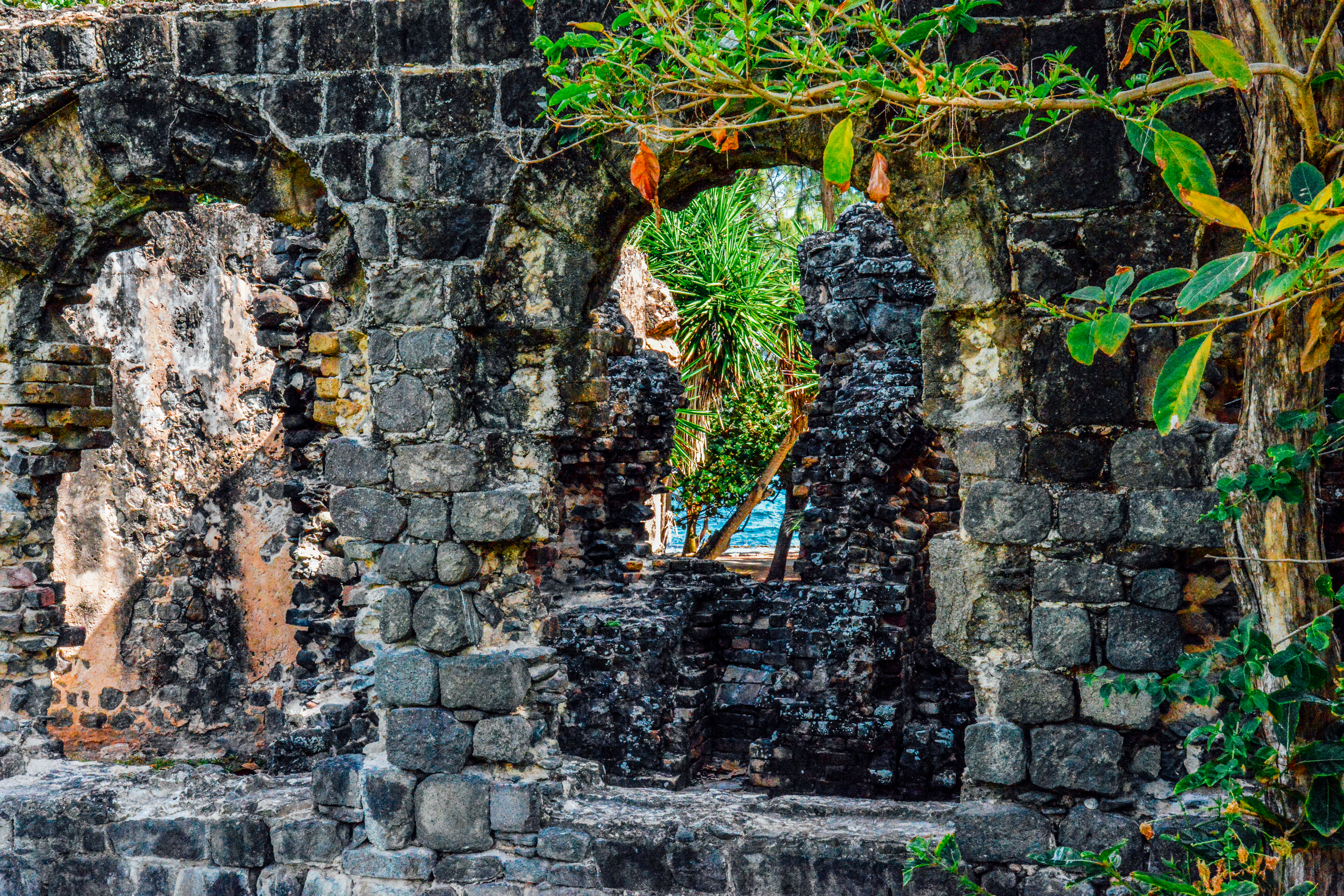 Arched Windows in Fort Rodney