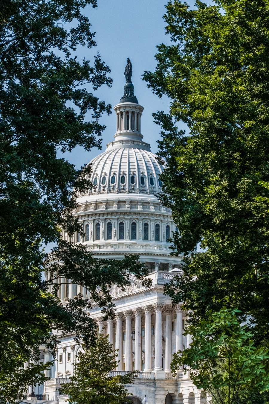 US Capital Dome