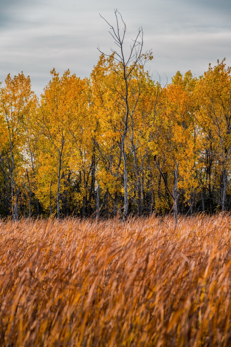 Interstate 380 In The Fall
