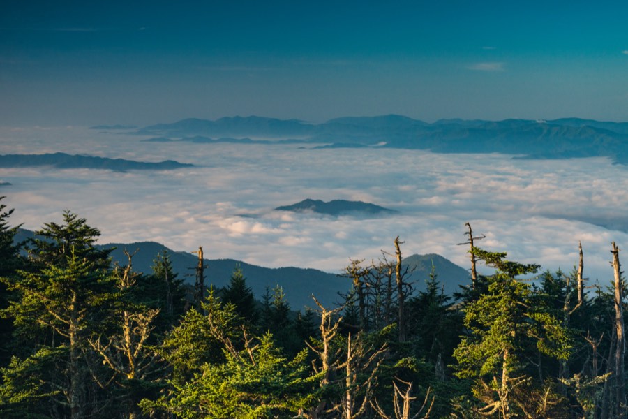 Cloud Inversion