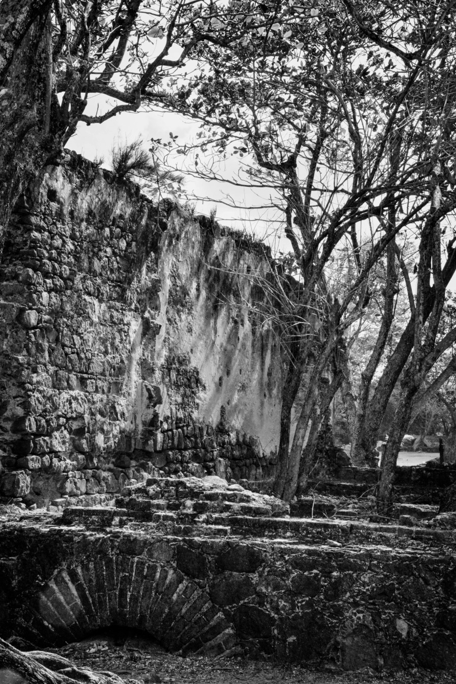 Nature is taking over Fort Rodney B&W
