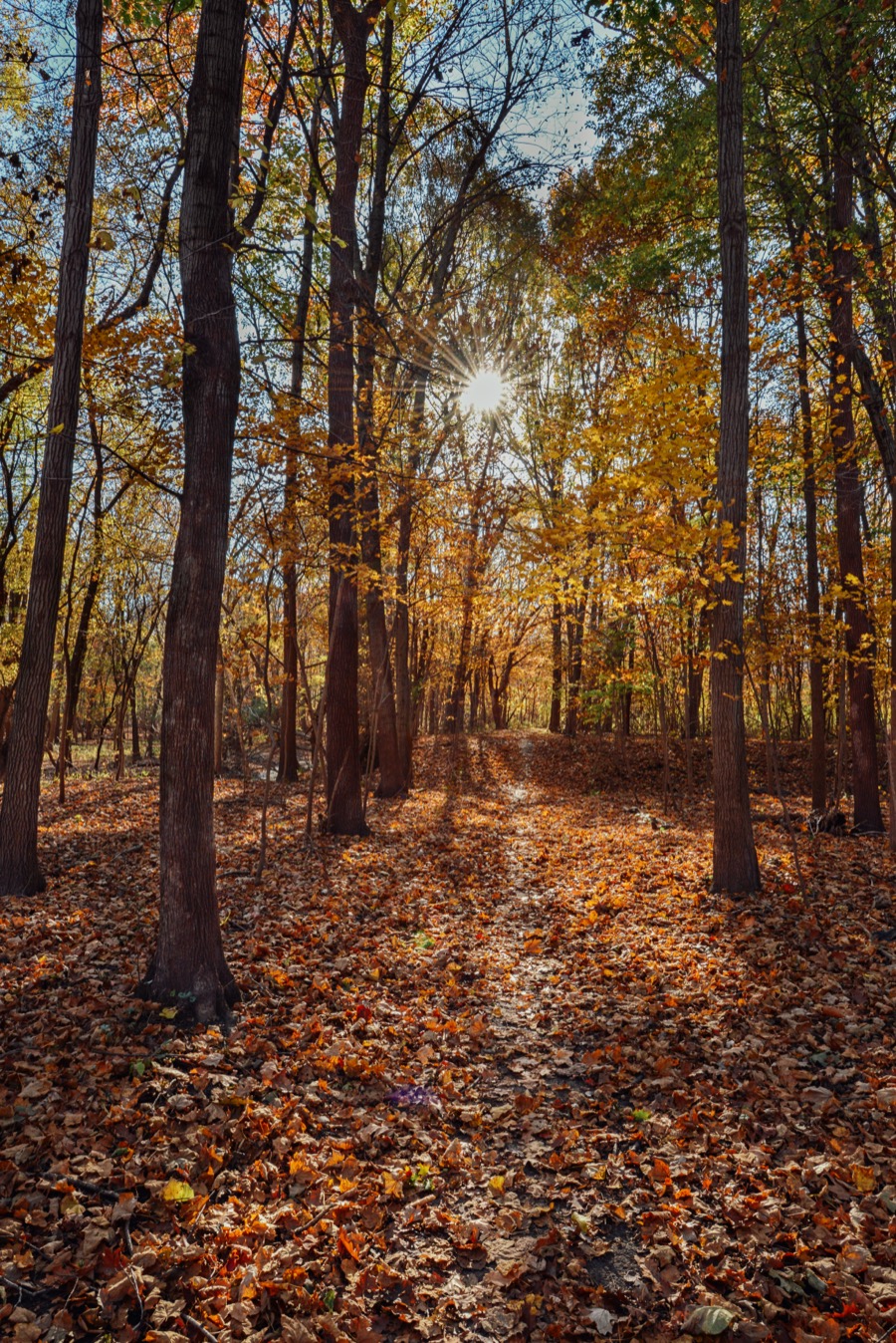 Ledges State Park