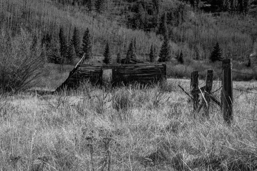 Forgotten Cabin