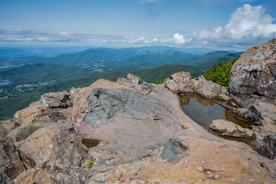 Stony Man Mountain Puddle