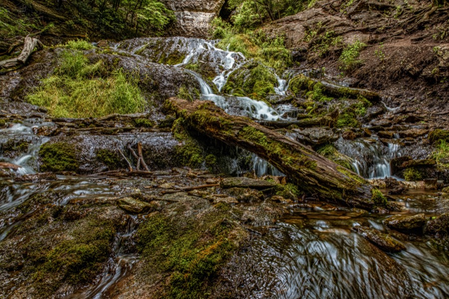 Dunning's Spring Park