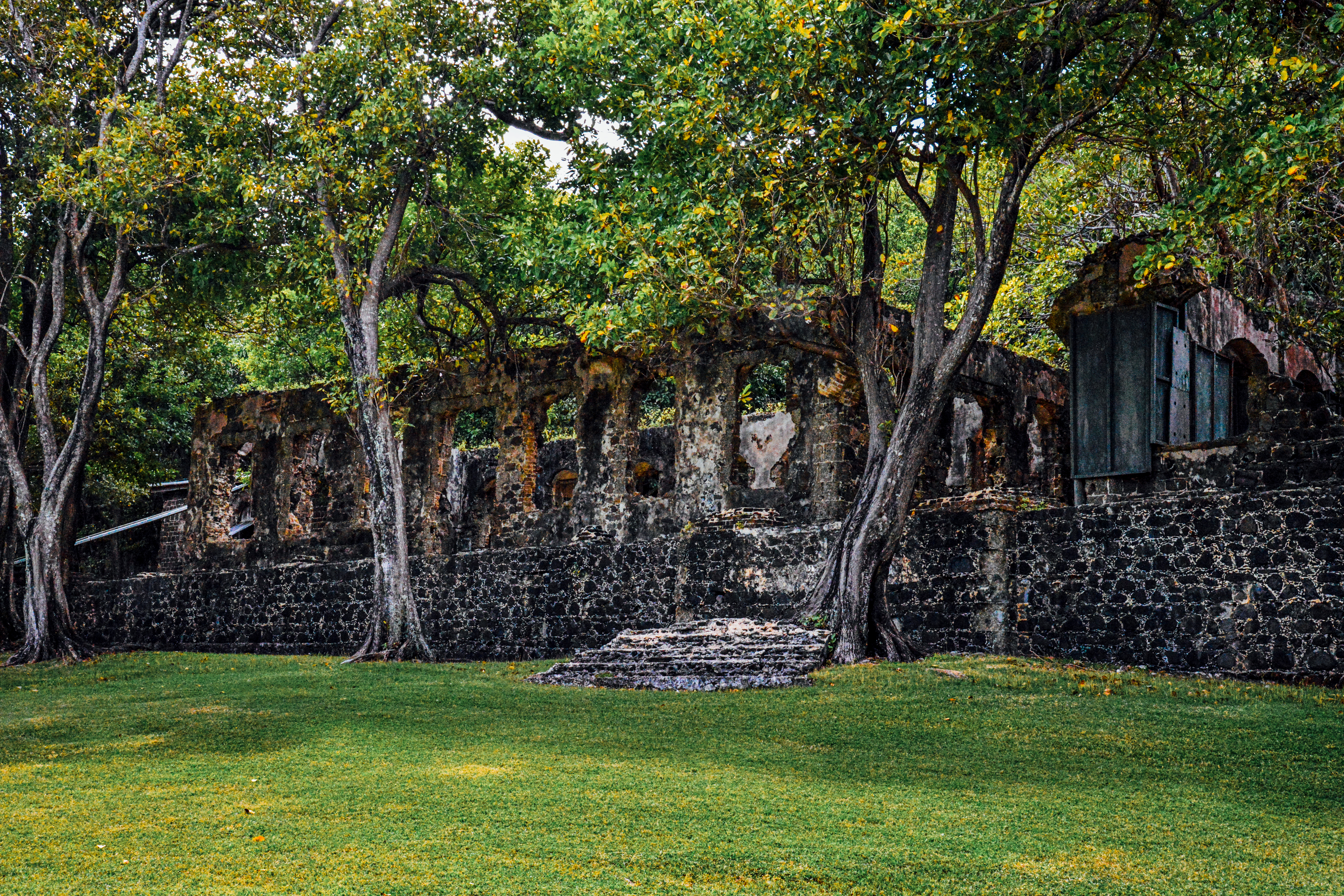 Walls of Fort Rodney