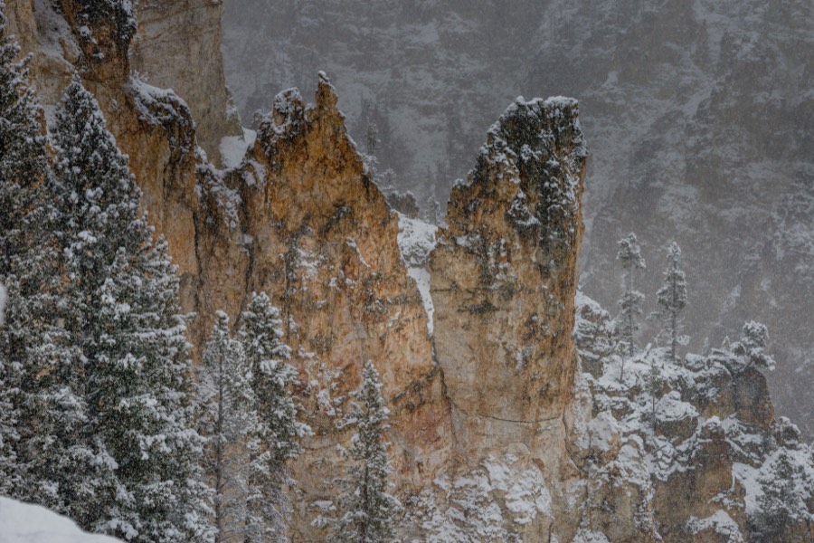 Grand View Cliffs Yellowstone National Park