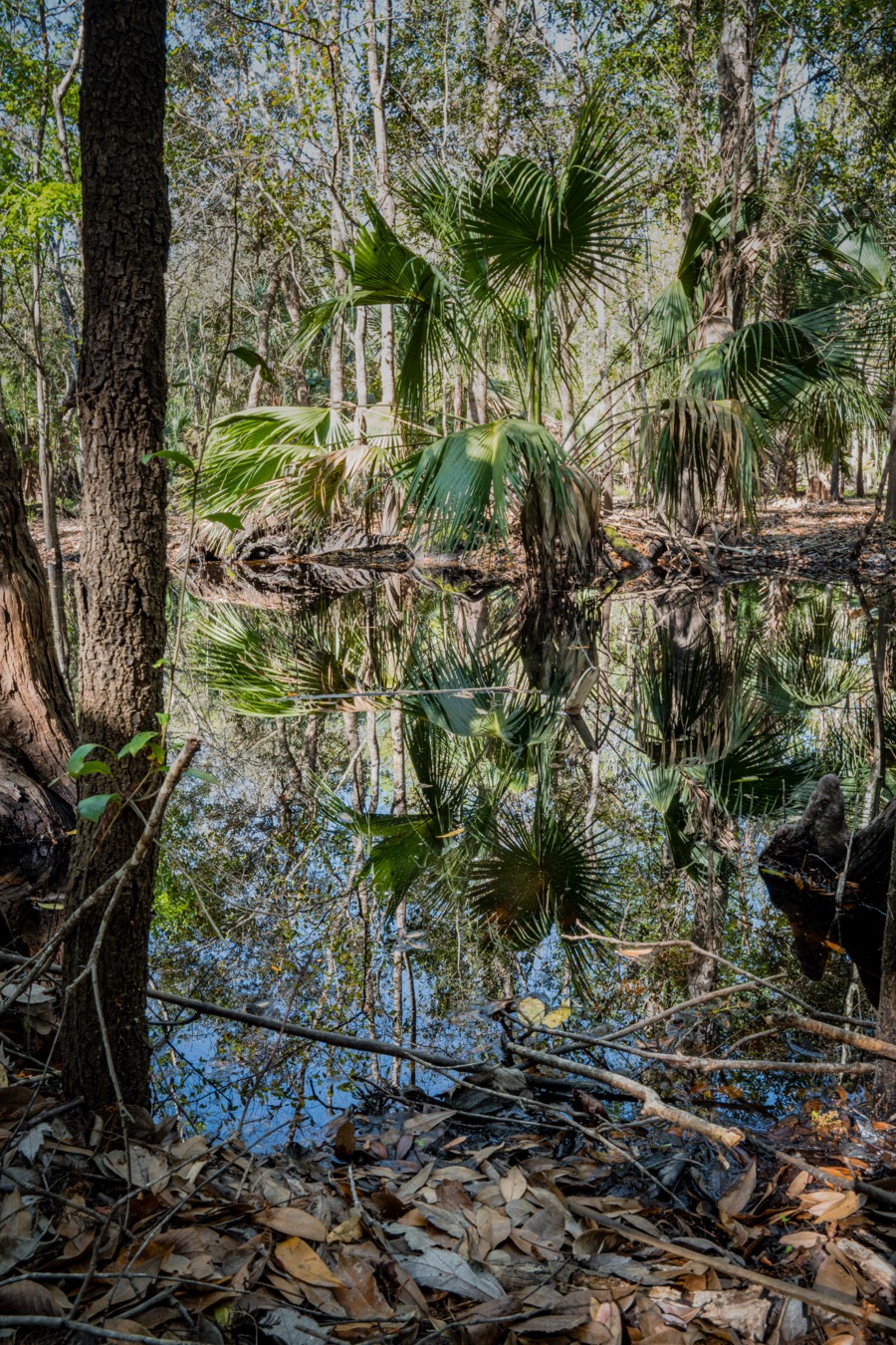 Reflections