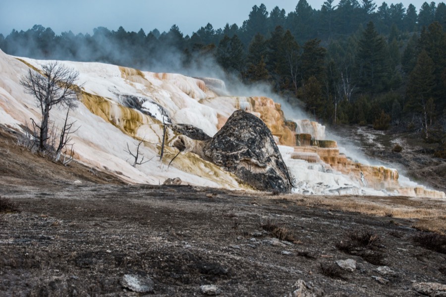 Steam at Mammoth Hot Springs Yellowstone National Park