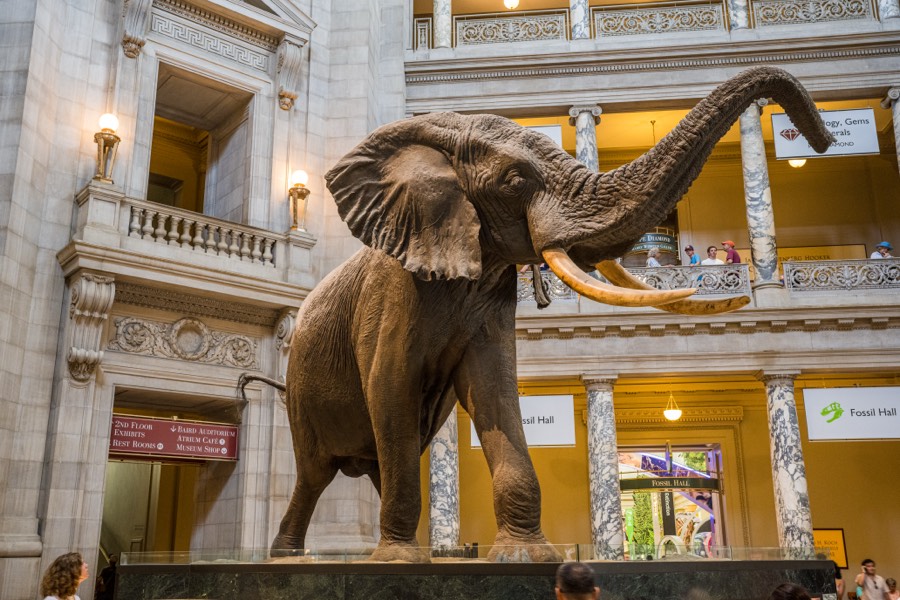 Smithsonian