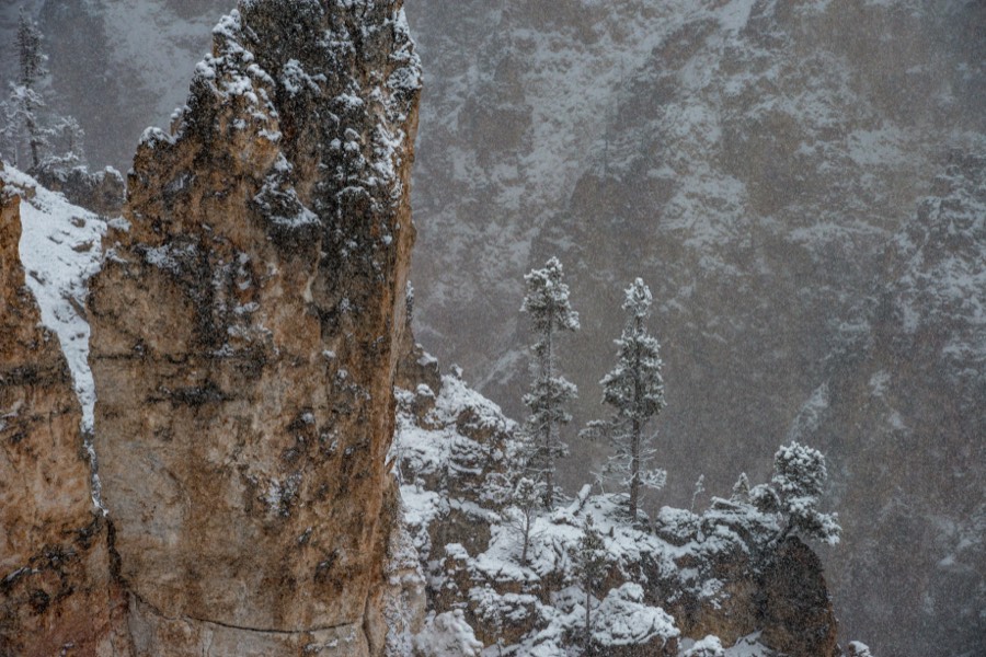 Grand View Cliffs with Pines Yellowstone National Park