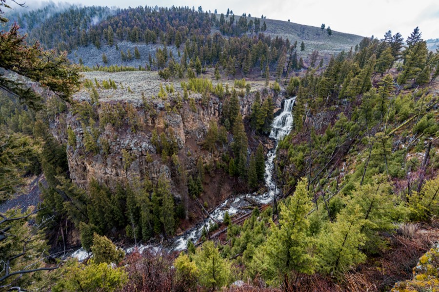 Undine Falls Yellowstone National Park