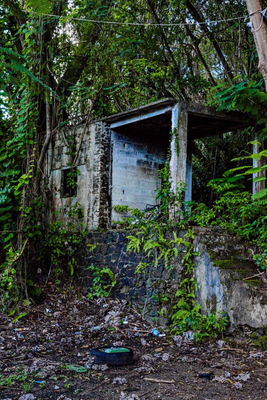Old Hut