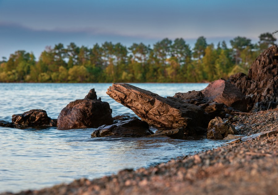 BWCA