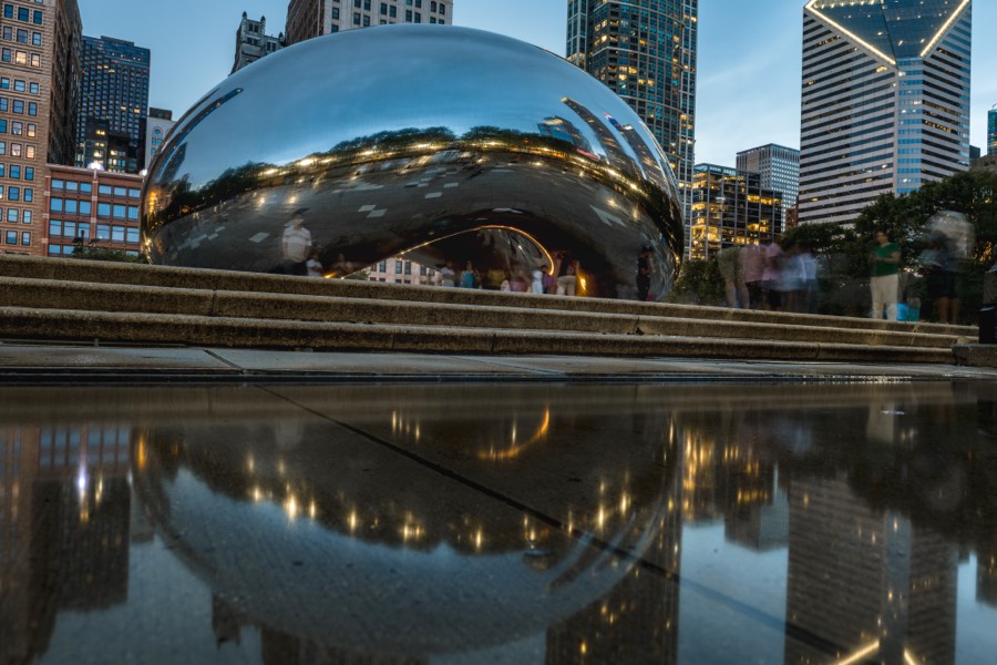 Puddle Reflections