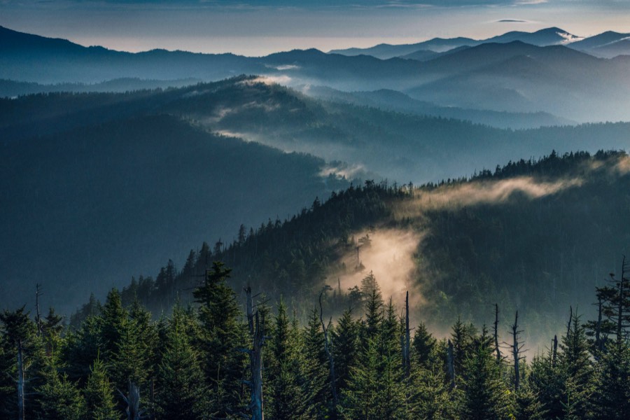 Mountain Mist