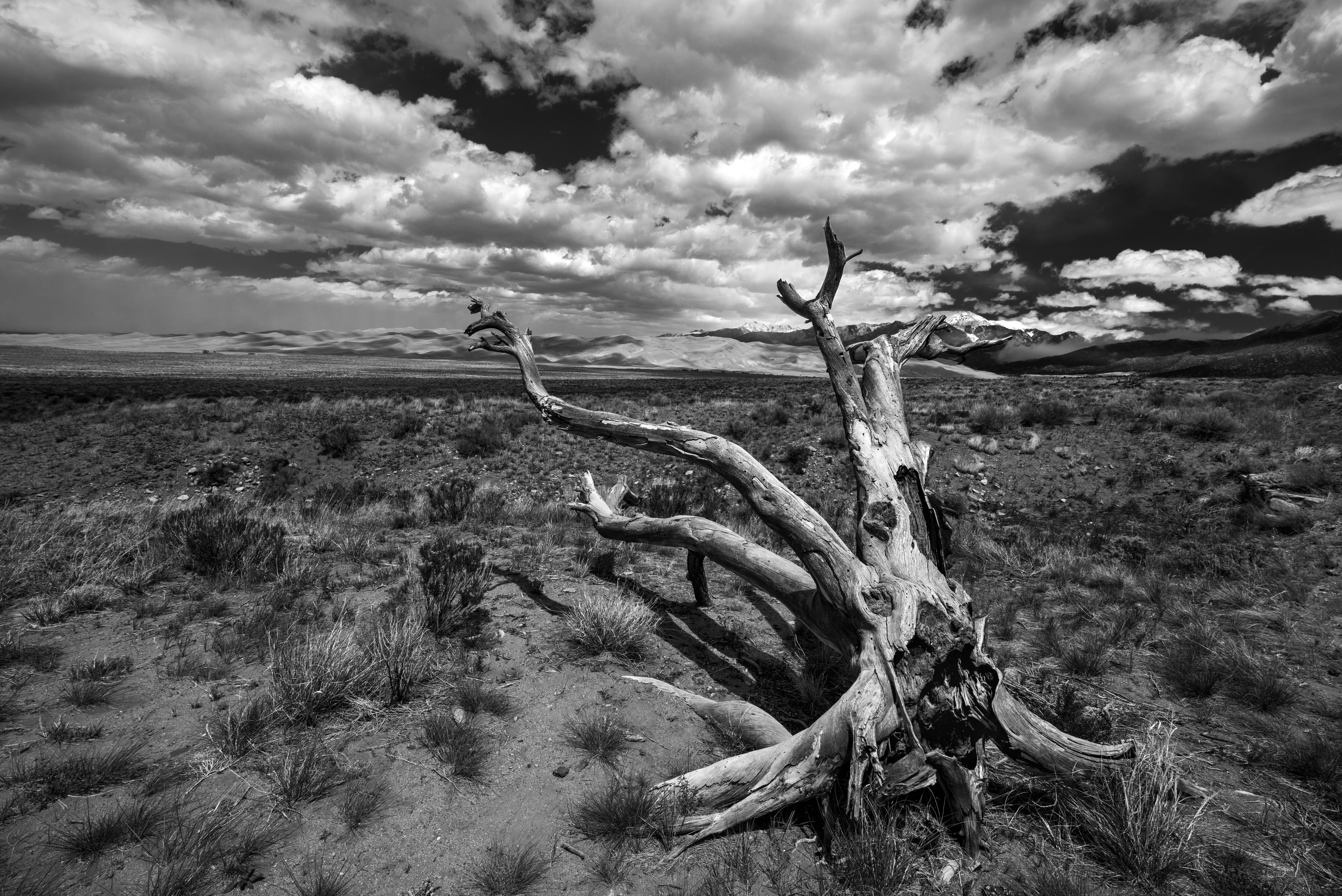 Great Sand Dunes National Park