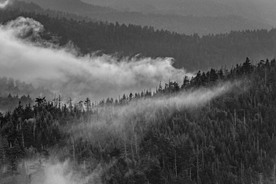 Fog Lifting B&W