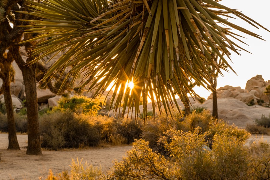 California coastal and western landscape photography collection by Paul Kestel