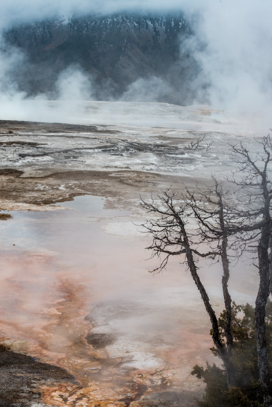 Mammoth Hot Springs Reflection Yellowstone National Park