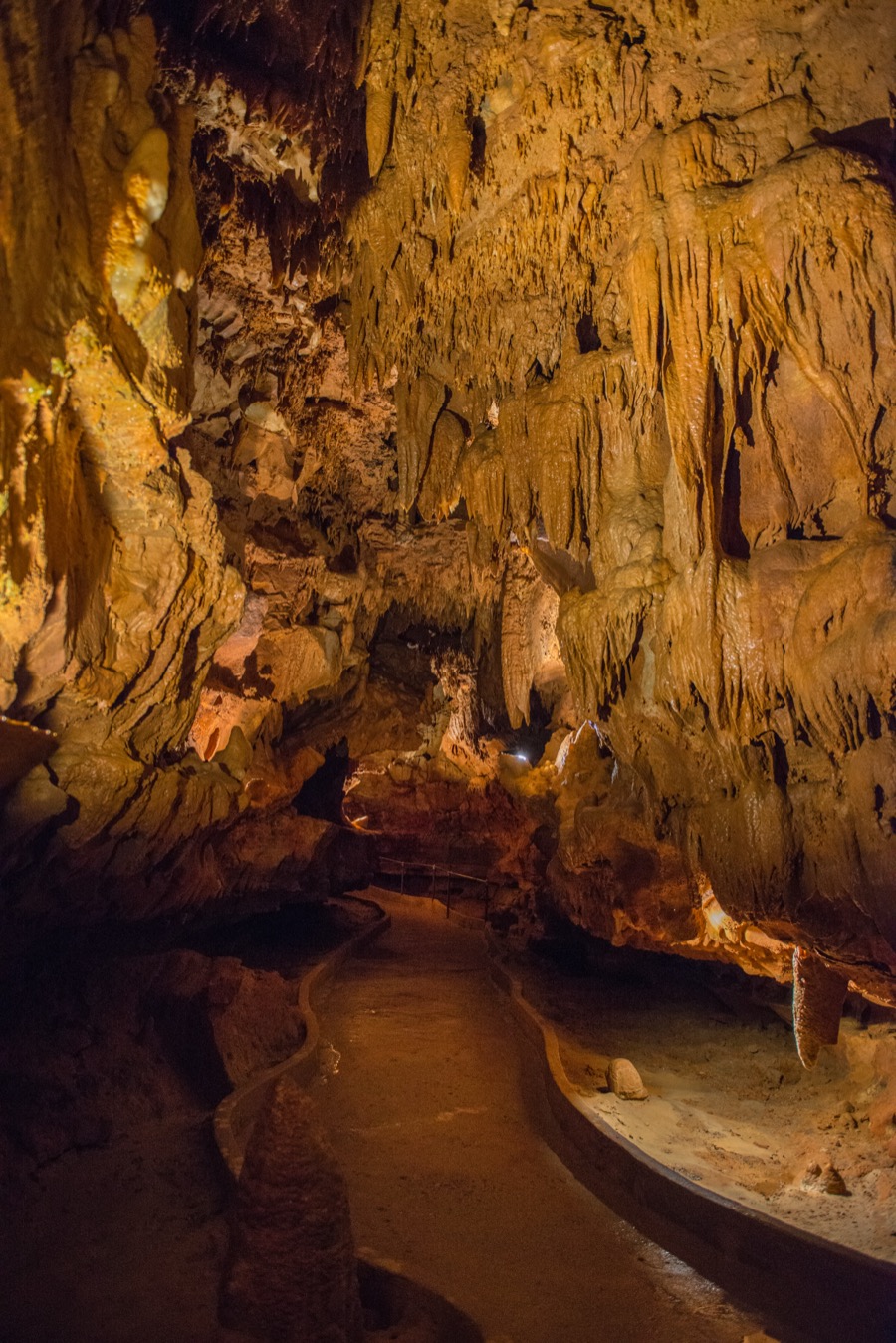 Mammoth Cave National Park