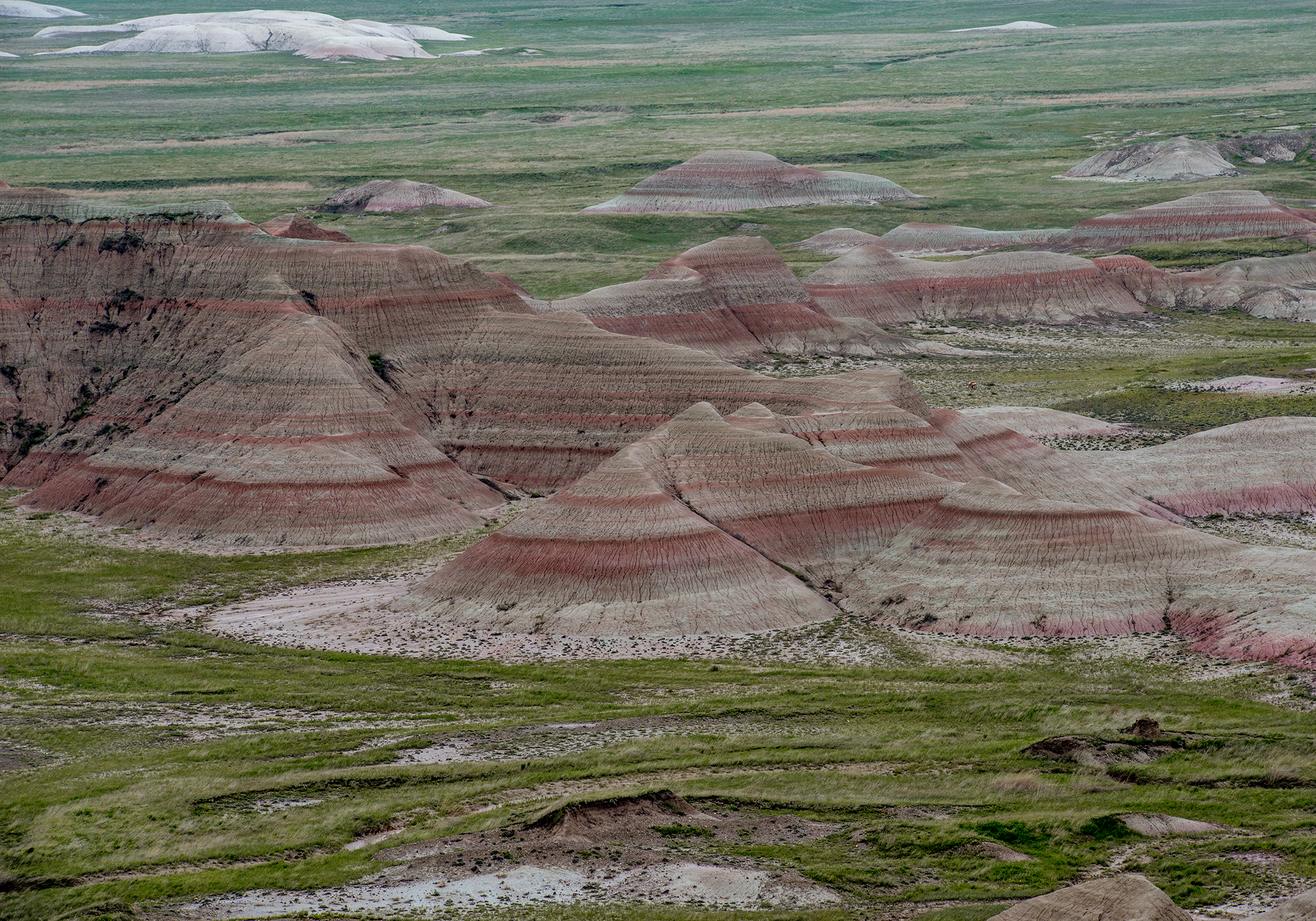 Badlands National Park Plains