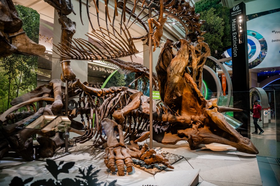 Smithsonian Dinosaur