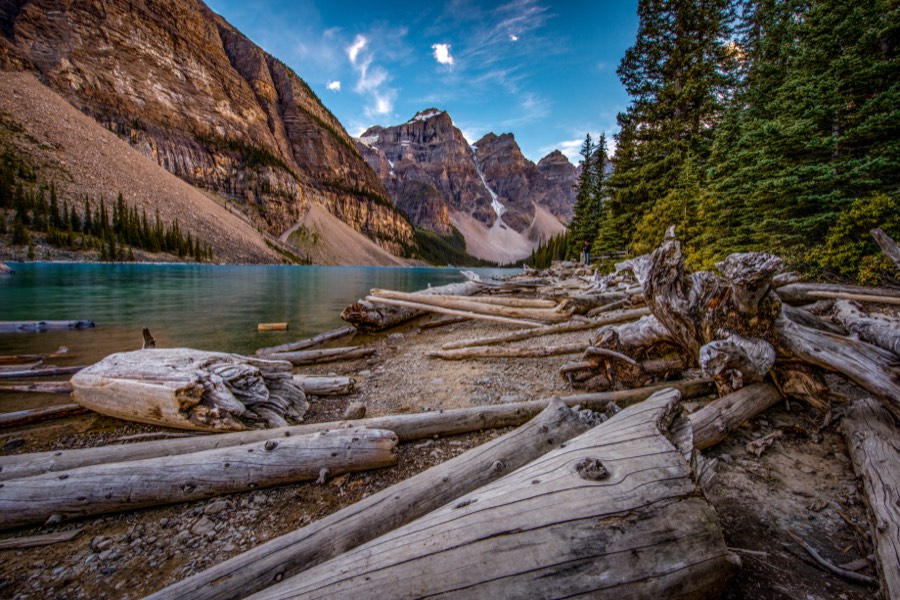 Moraine Lake Logjam