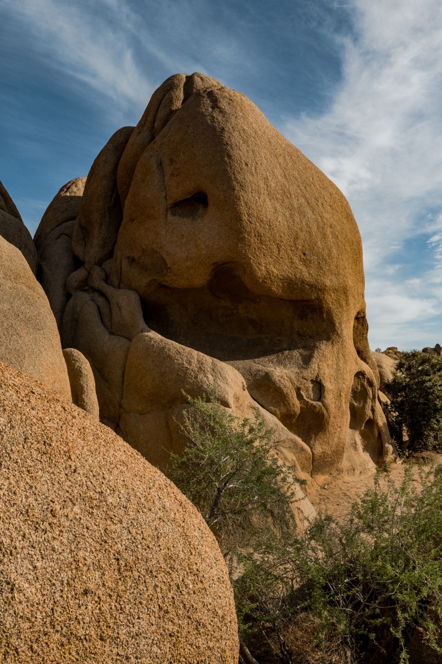 Skull Rock Joshua Tree National Park