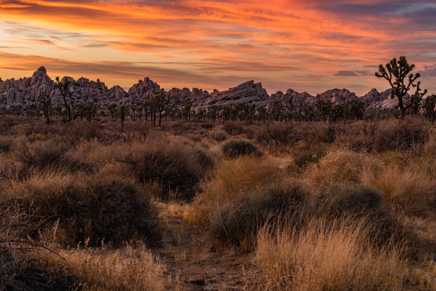 Burning Sky Joshua Tree National Park
