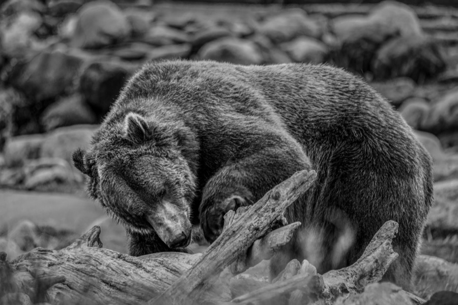Wyoming national park landscape photography collection by Paul Kestel